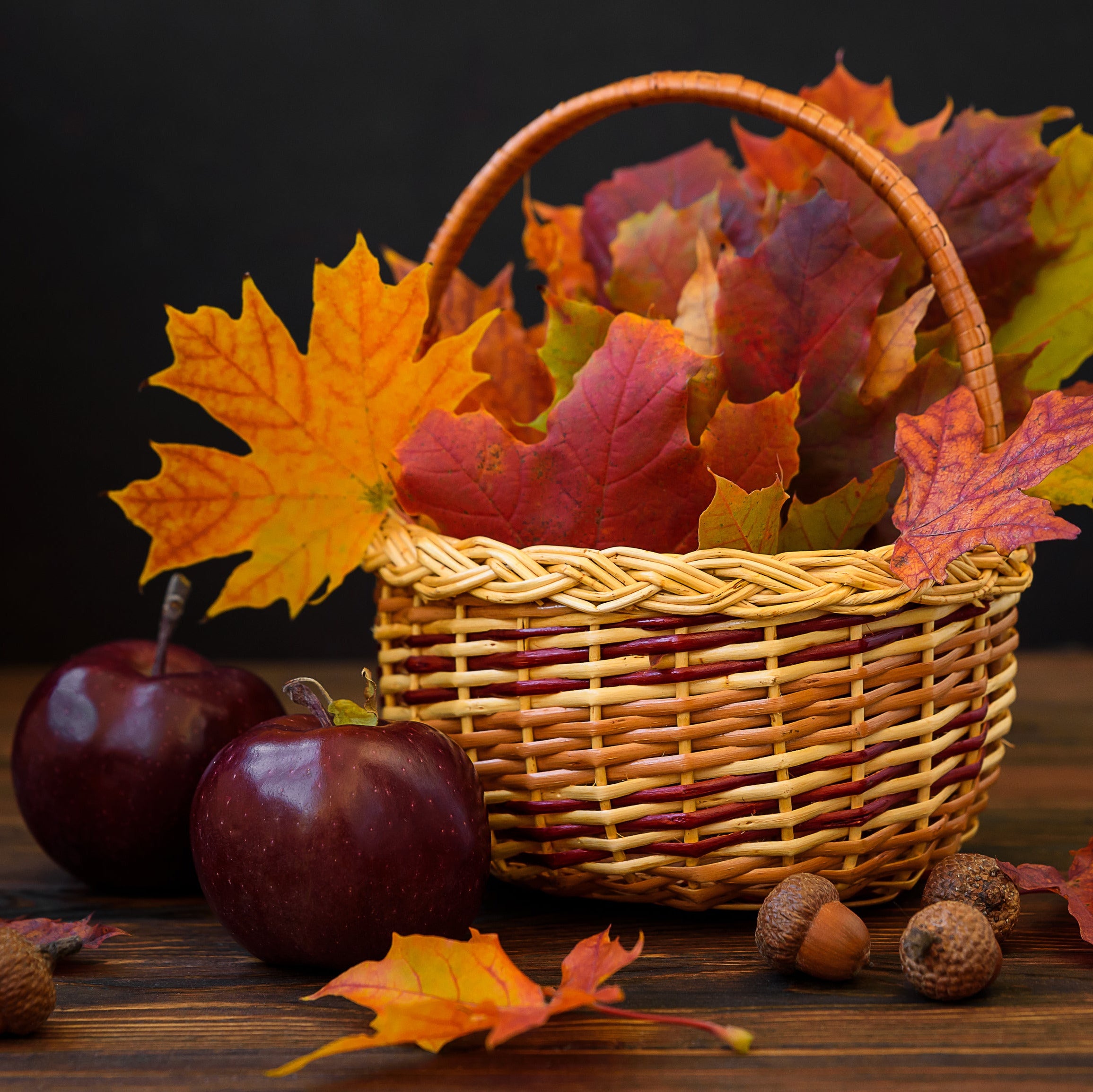 A woven wicker basket filled with colorful autumn maple leaves in shades of orange, red, and yellow, set on a dark wooden table with two dark red apples and scattered acorns against a black background.