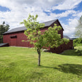 A red wooden barn with a dark metal roof sits on a green grassy lawn under a blue sky with white clouds, with a small green tree in the foreground.