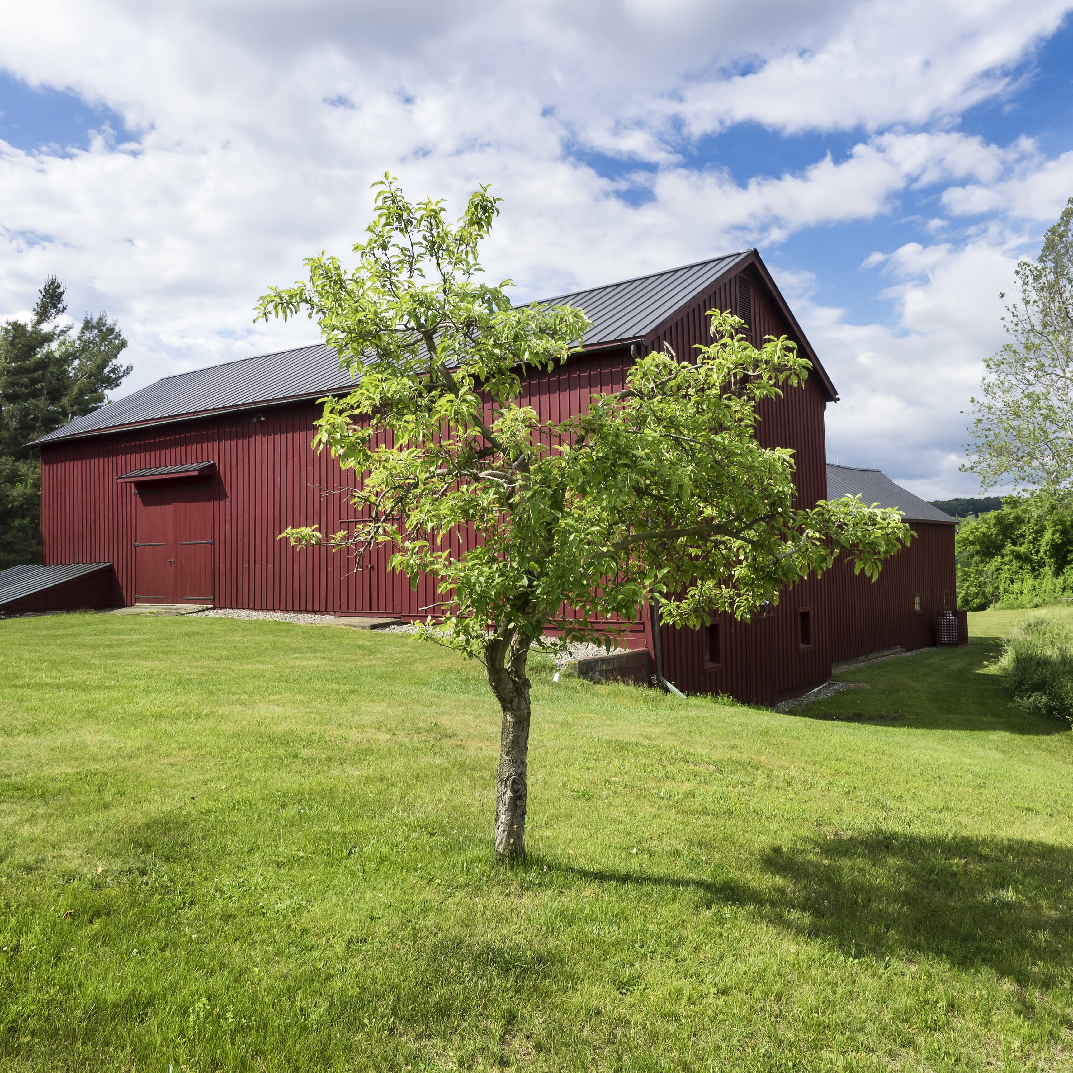 A red wooden barn with a dark metal roof sits on a green grassy lawn under a blue sky with white clouds, with a small green tree in the foreground.