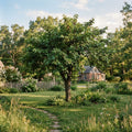 A lush green garden scene with a central leafy tree, a stone path winding through the grass, a white picket fence, and a brick house in the background under a soft blue sky.